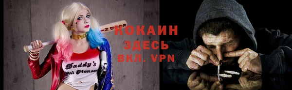 ПСИЛОЦИБИНОВЫЕ ГРИБЫ Бородино
