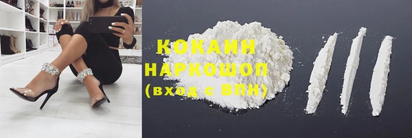 ПСИЛОЦИБИНОВЫЕ ГРИБЫ Бородино