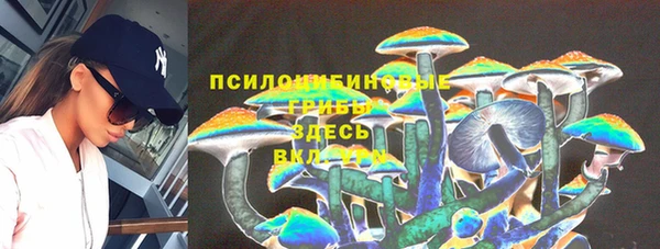 стафф Бугульма
