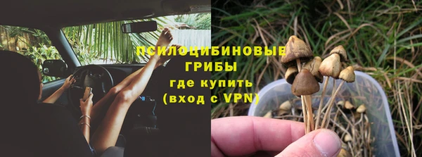 ПСИЛОЦИБИНОВЫЕ ГРИБЫ Бородино