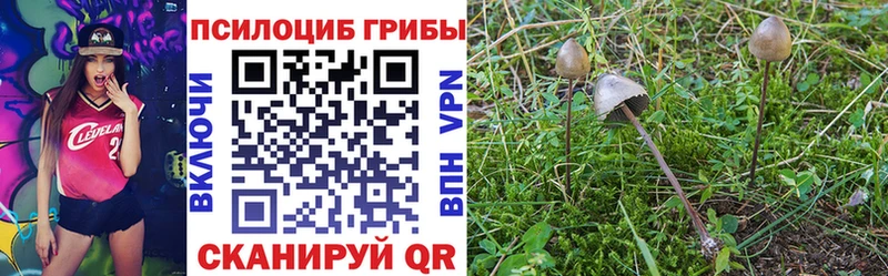 ссылка на мегу ССЫЛКА  Верхняя Пышма  Псилоцибиновые грибы Psilocybe 