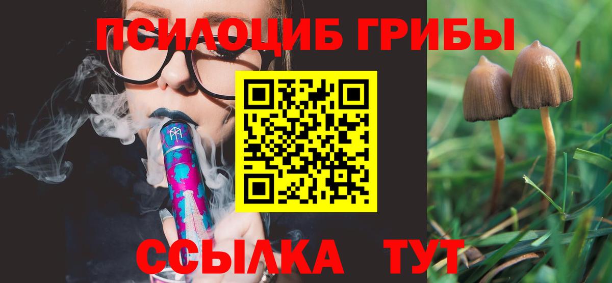 Галлюциногенные грибы Magic Shrooms  Вход с VPN  Псилоцибиновые грибы GOLDEN TEACHER  Верхняя Пышма 